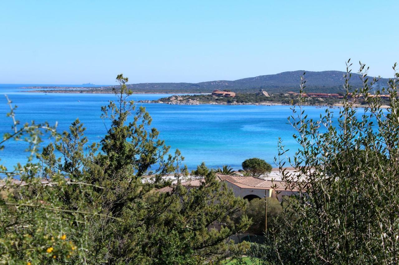Casa Vacanze Il Cisto - Golfo Di Marinella Βίλα Porto Rotondo Εξωτερικό φωτογραφία