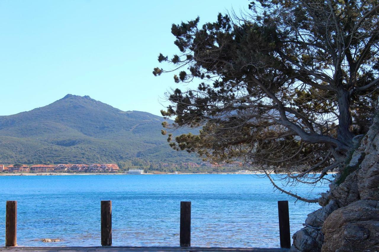 Casa Vacanze Il Cisto - Golfo Di Marinella Βίλα Porto Rotondo Εξωτερικό φωτογραφία