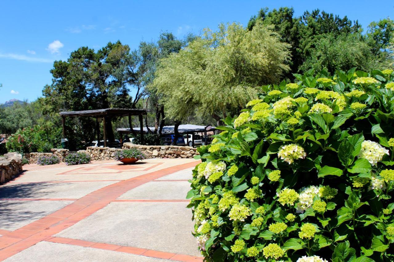 Casa Vacanze Il Cisto - Golfo Di Marinella Βίλα Porto Rotondo Εξωτερικό φωτογραφία